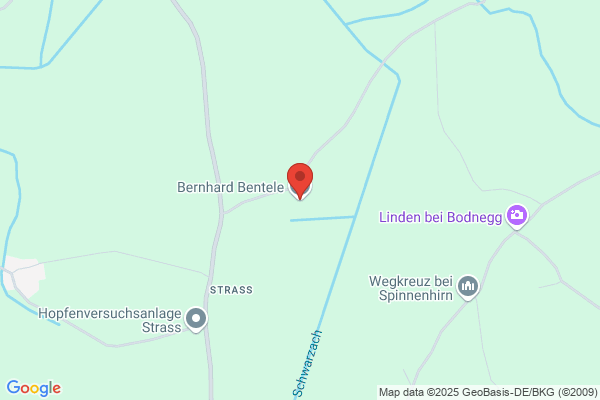 Hans Bentele