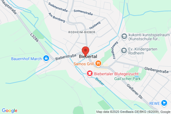 Fuchs Reinhard Malerbetrieb Autolackiererei