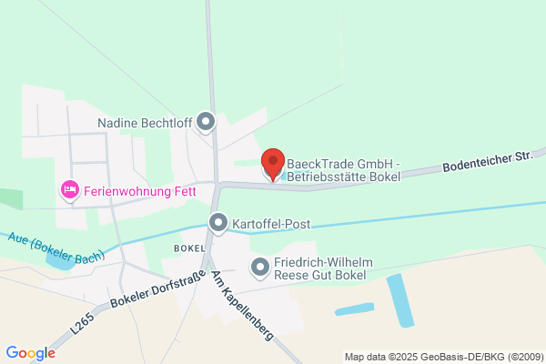 Brückner-Werke Kommanditgesellschaft