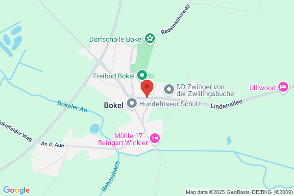 Tontsch