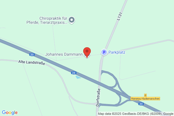 Johannes Dammann
