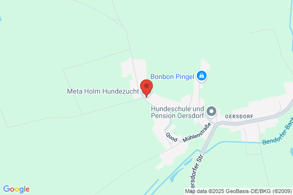 Meta Holm