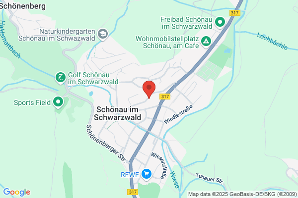 Taxi  Steinebrunner