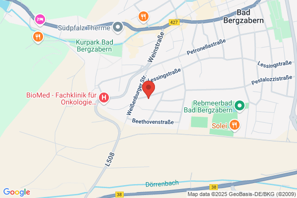SteinPars