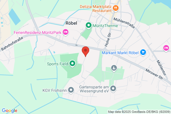 Friesensportplatz
