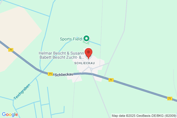 Edgar Schütz