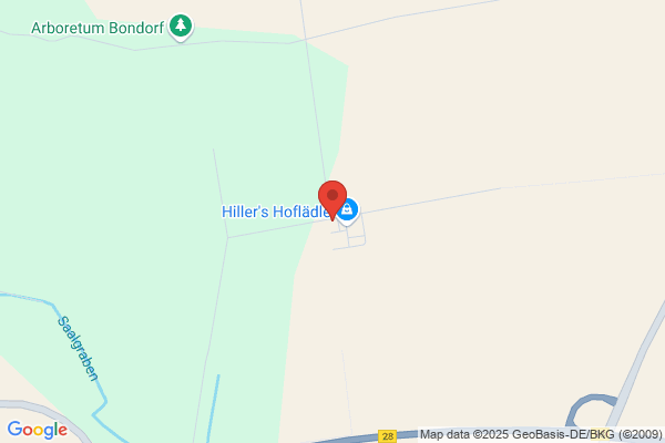 Training für Mensch mit Hund