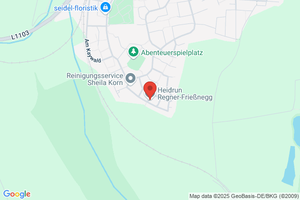 Heidrun Regner-Frießnegg