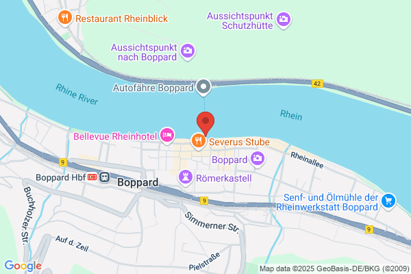 Rheinfähre Boppard