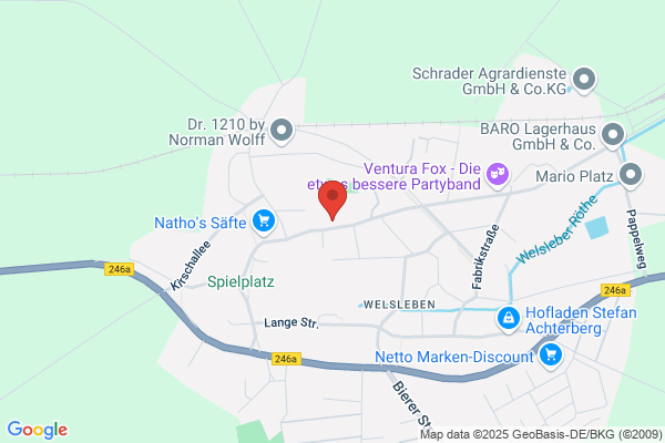 Ollis Inn