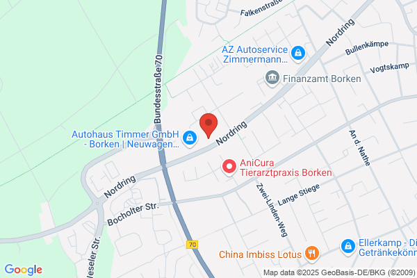 Tank am Ring