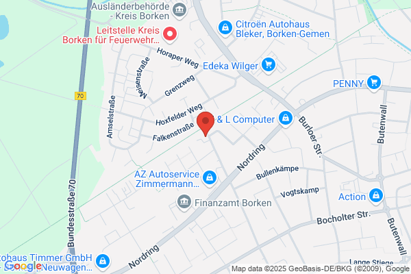 Hundephysiotherapie Wahl