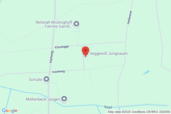 Schwering Klaus, Viehhandlung