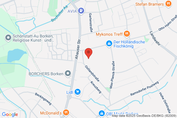 B-D-Z Borgner Dienstleistungszentrum