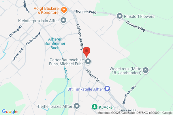 Veronika Rohmann Psychotherapie - Systemische Therapie
