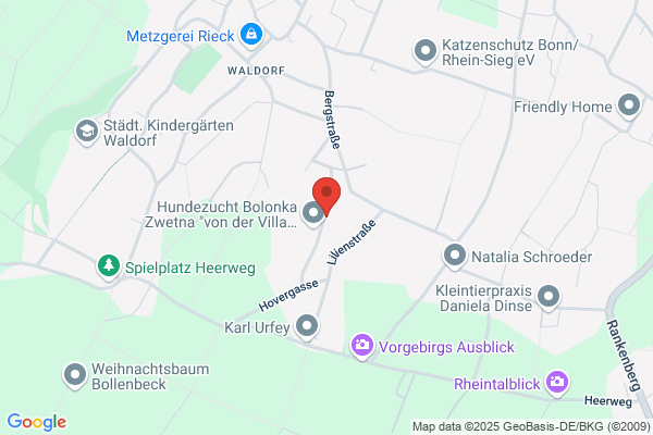 Dipl.-Architektin Monika Brölingen
