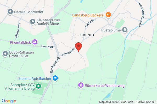 sattva coaching rheinland