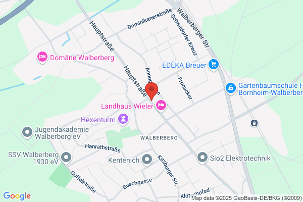 Zur Krone Hotel-Gasthaus