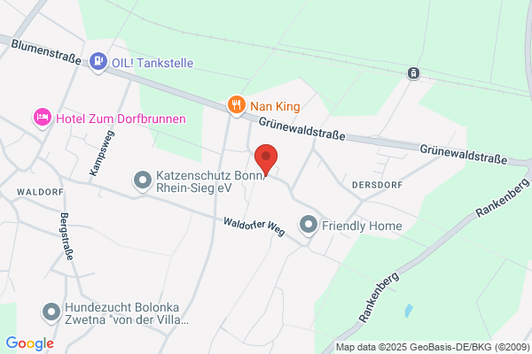 Dentaltechnik Stein GmbH