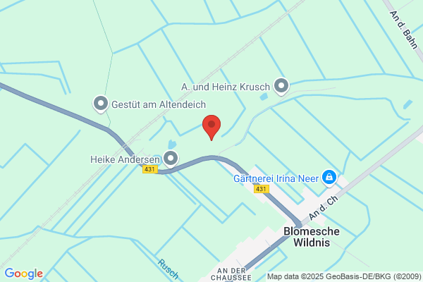 Galerie-Cafe Knudsen