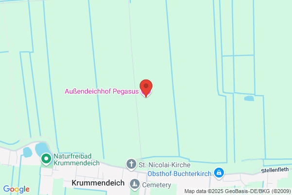 Pegasus Informatik AG
