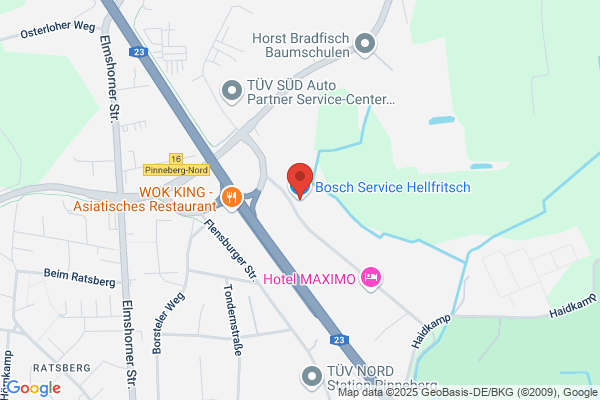 Bosch Car Service