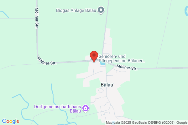 Senioren- und Pflegepension Bälauer Hof GmbH