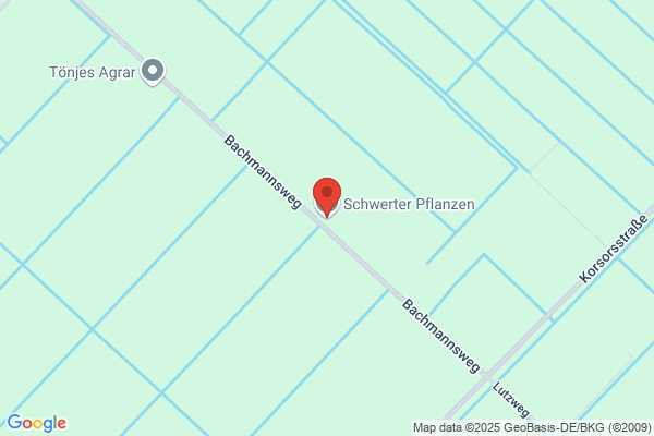 Schwerter Pflanzen GmbH