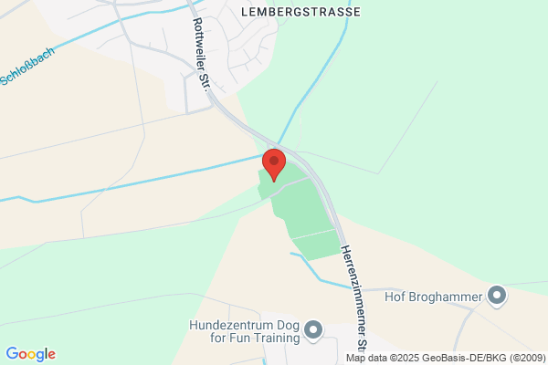 Sportverein Herrenzimmern e.V.