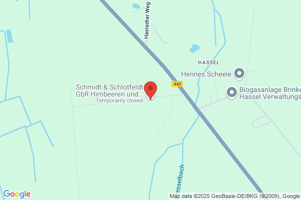 Schmidt & Schlotfeldt GbR | Himbeeren und Heidelbeeren