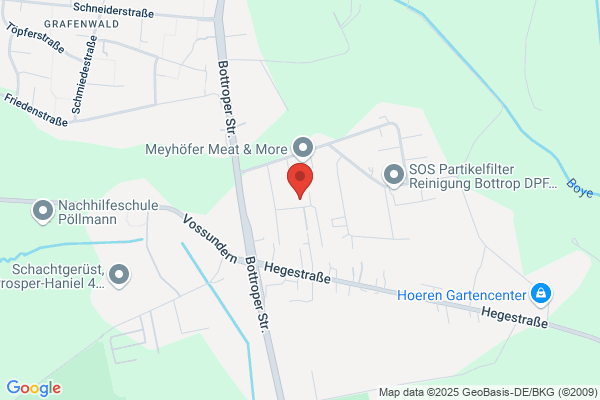 TSG - Teppich Service Greis