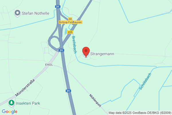 H & M Strangemann UG & Co. KG