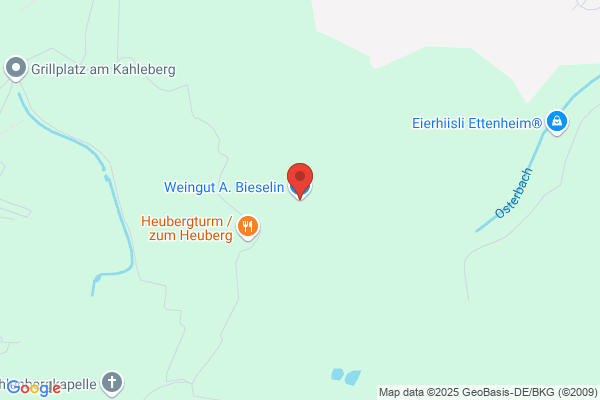 Ernst Bieselin