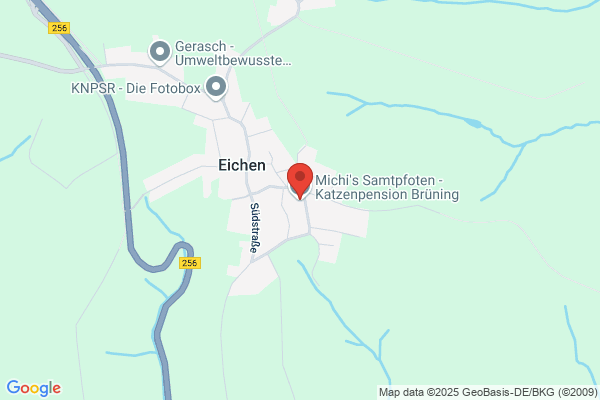 Katzenpension Tracht-Meurer
