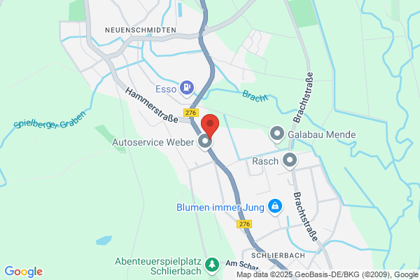 Dosedzal Transporte GmbH Express Logistik