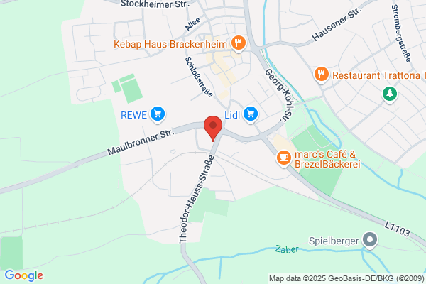 Fahrschule Bosch