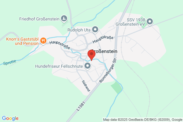 Fahrdienst Steven Seemann