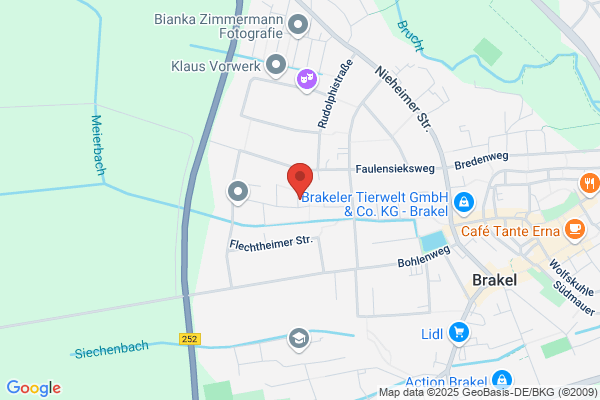 Heinz Büse