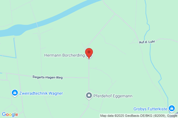 Hermann Borcherding