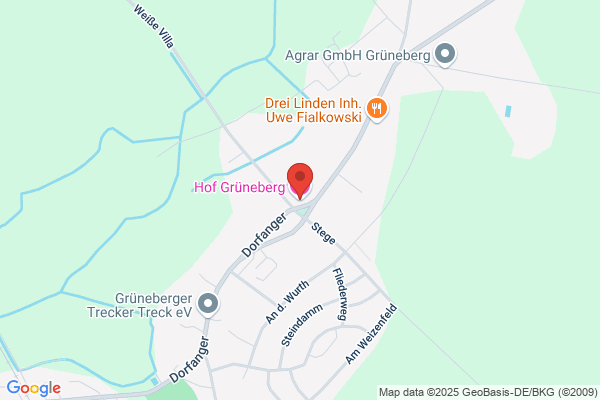 Knut Grüneberg