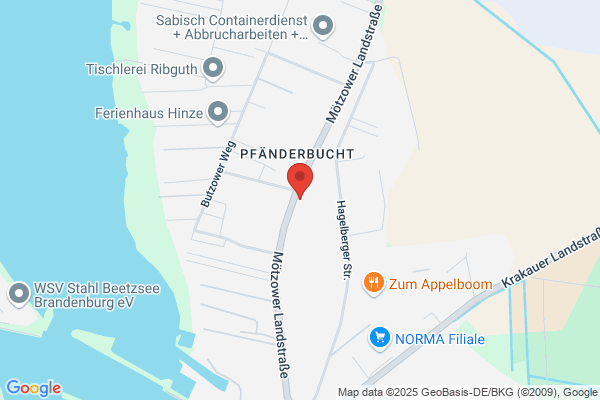 ACTA - Dolmetscherdienste