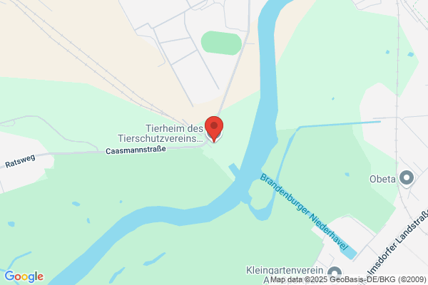 Tierschutzverein Brandenburg und Umgebung e.V.