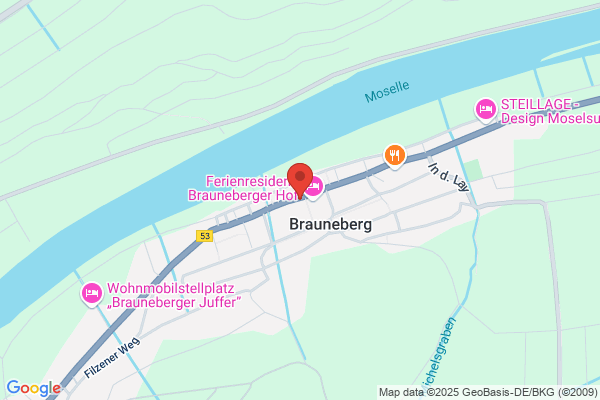 Thees Geschwister