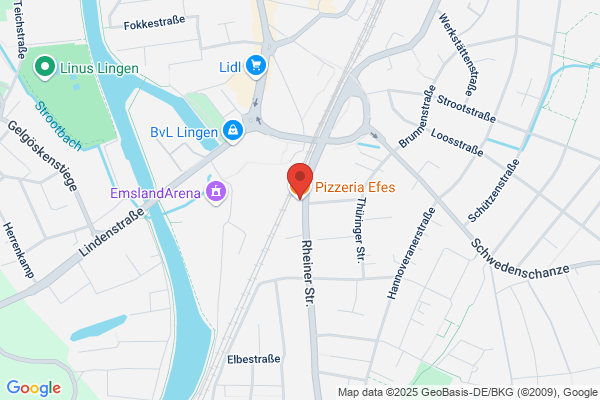 Pizzeria Efes