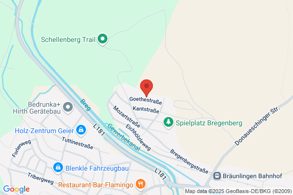 Baumeister Ralf