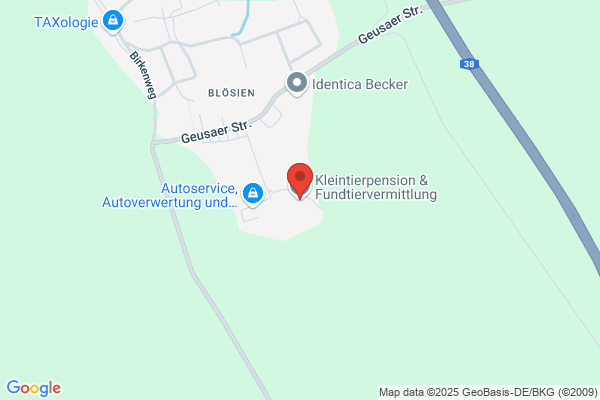 Dalmatiner Treff & Tierbetreuung Merseburg