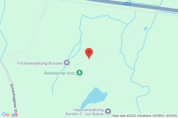 Bossee
