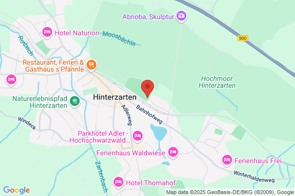 SV Hinterzarten