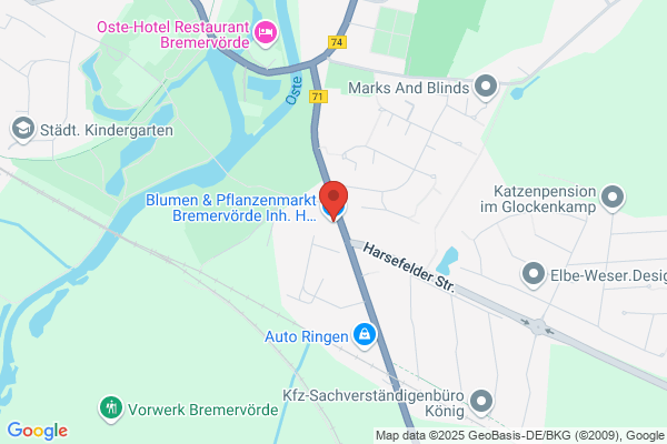 Blumen & Pflanzenmarkt