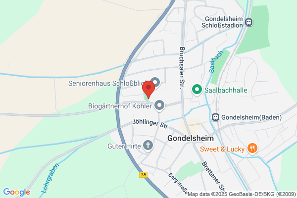 Schützenverein 1924 e.V. Gondelsheim